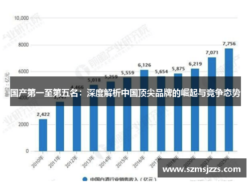 国产第一至第五名：深度解析中国顶尖品牌的崛起与竞争态势